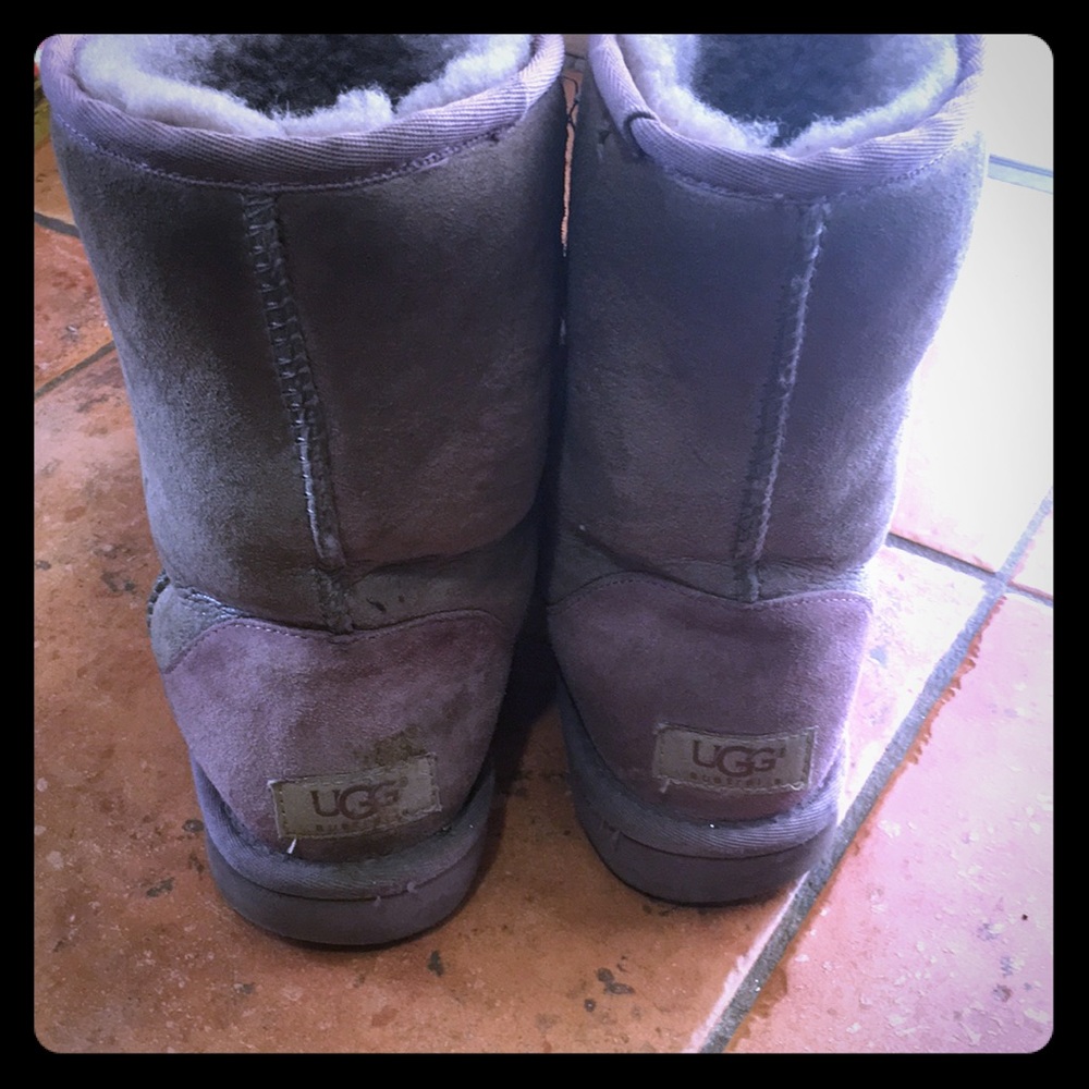 Purple uggs